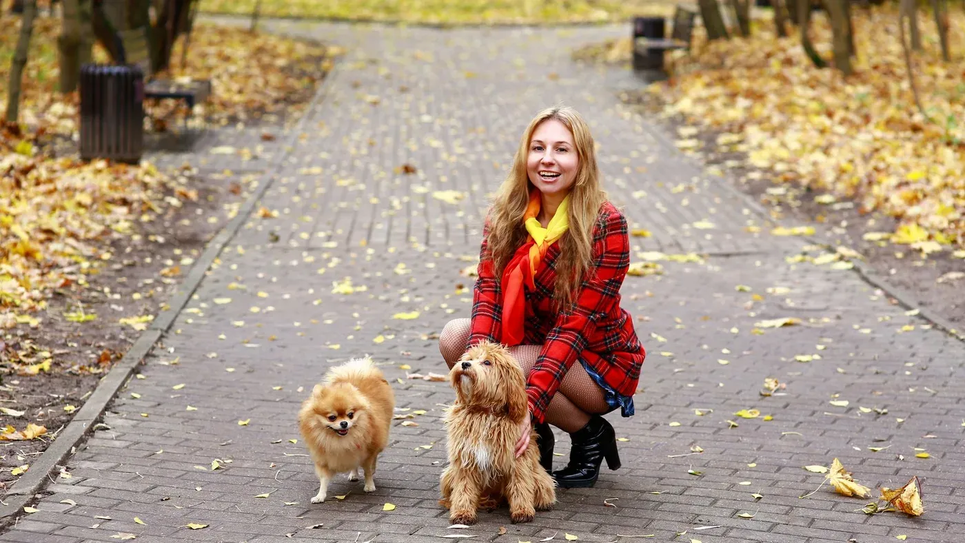 Hund med jacka på höstpromenad