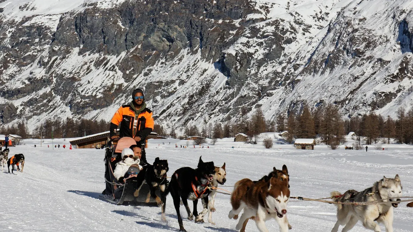 Hund som drar i vintermiljö