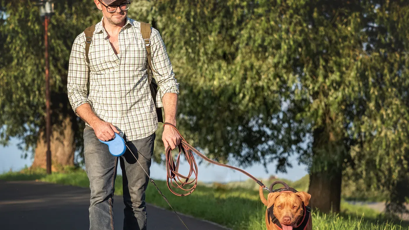 Hundägare med rullkoppel i park