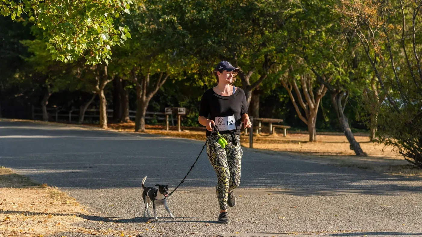Joggingtur med hund i park