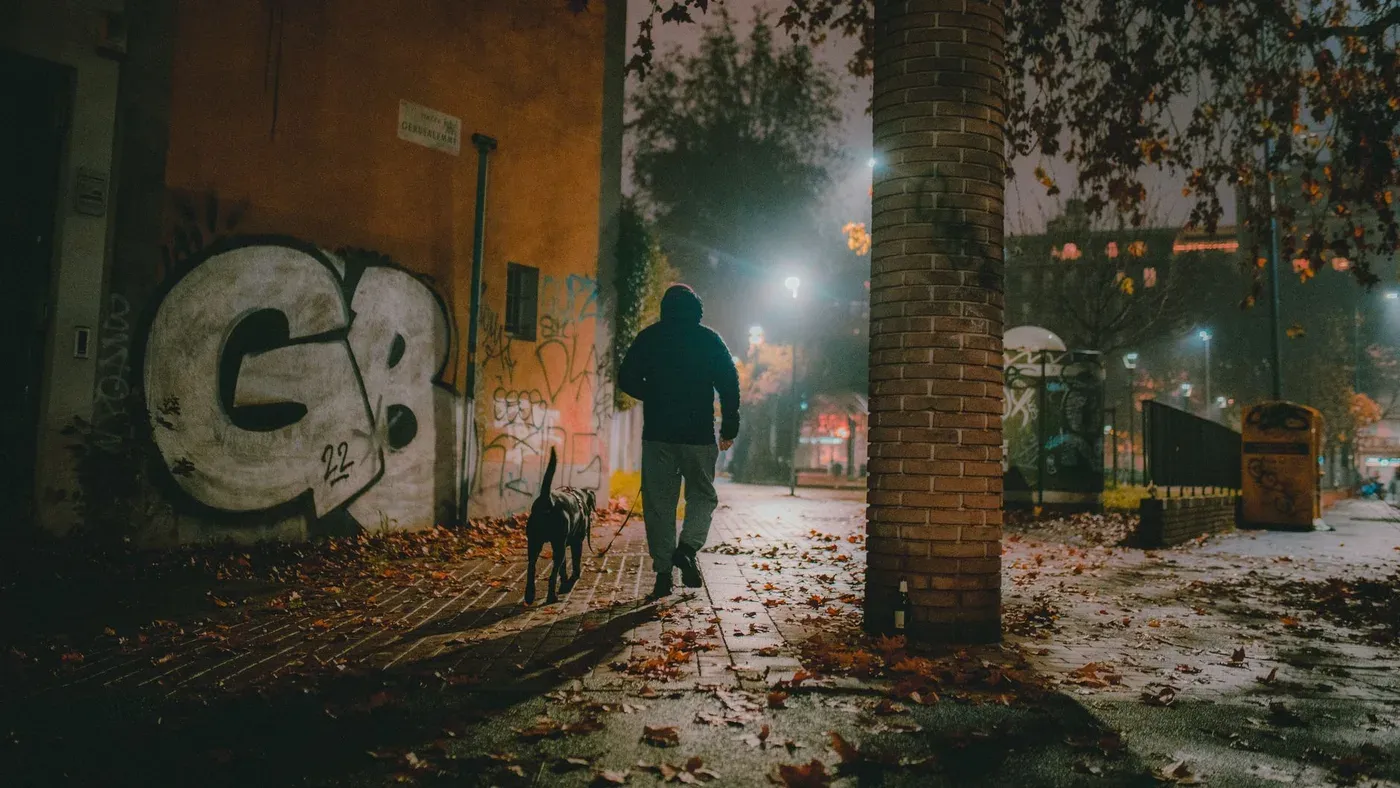 Kvällspromenad med hund i mörker