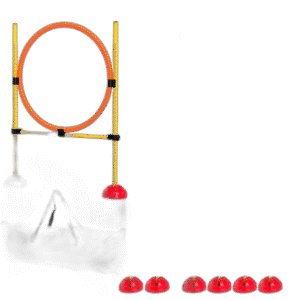 Fullständigt test av de bästa Agility Hinder