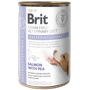 Fullständigt test av de bästa Dietfoder Hund
