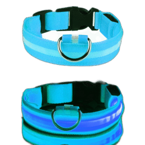 Fullständigt test av de bästa Led-Halsband Hund