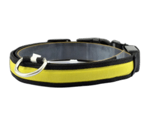 Fullständigt test av de bästa Lysande Halsband Hund