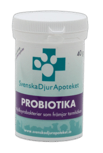 Fullständigt test av de bästa Probiotika Hund