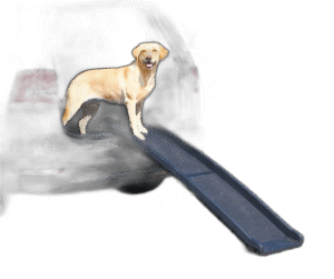 Fullständigt test av de bästa Ramp Till Hund